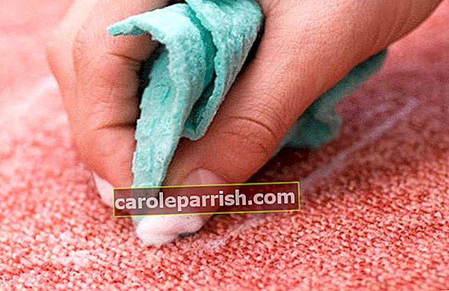 quale prodotto per rimuovere il tappeto dal cattivo odore