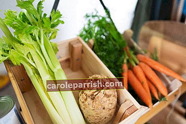 cara menjaga sayur-sayuran dan buah segar tanpa peti sejuk