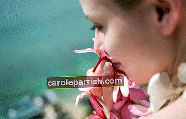 ผู้หญิงสูดกลิ่นดอกไม้สีชมพู