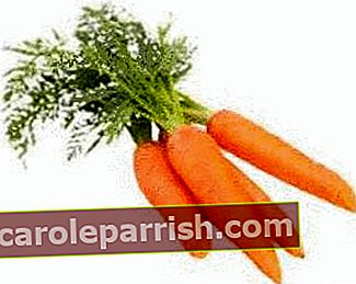 olio essenziale di carota