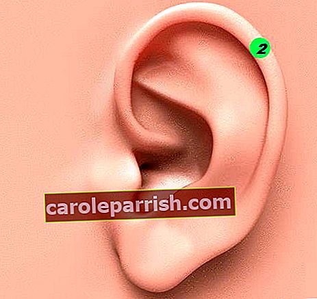 punto per stimolare sull'orecchio