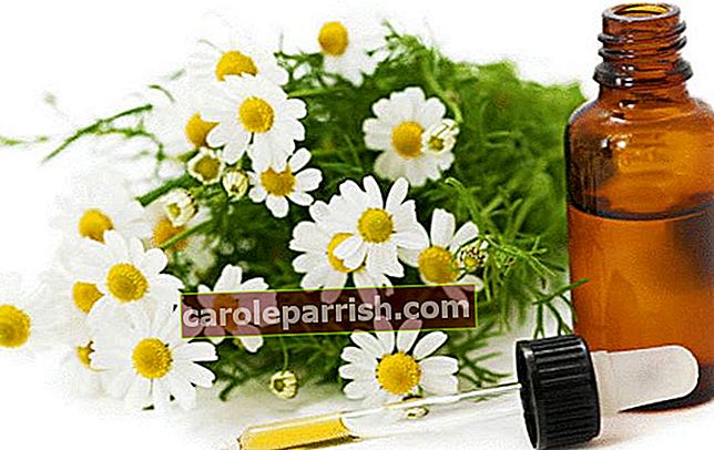 fiori di camomilla accanto a una bottiglia di olio essenziale di camomilla