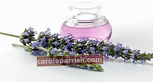 resipi dan khasiat pati lavender