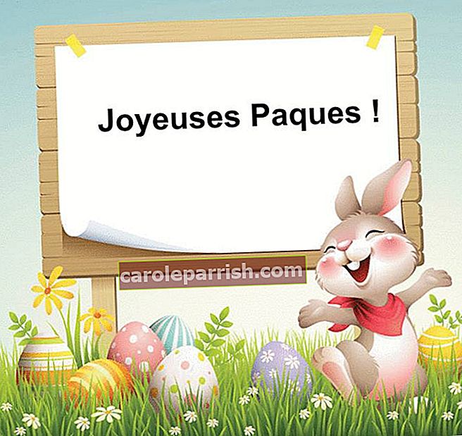 Vor einem fröhlichen Kaninchen, im Gras, mitten in einem Osterei, steht auf einem Schild fröhliches Ostern