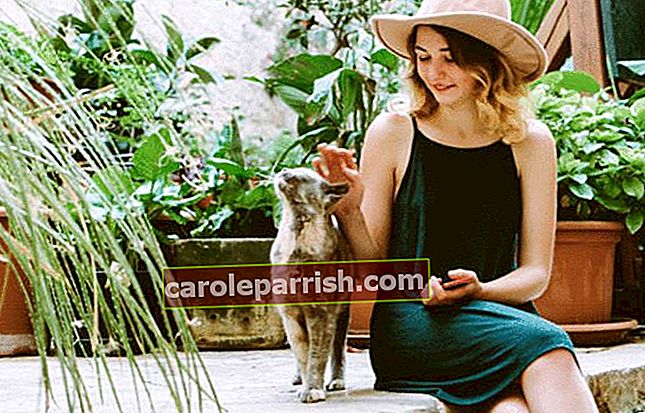 una donna che accarezza un gatto su una terrazza di pietra