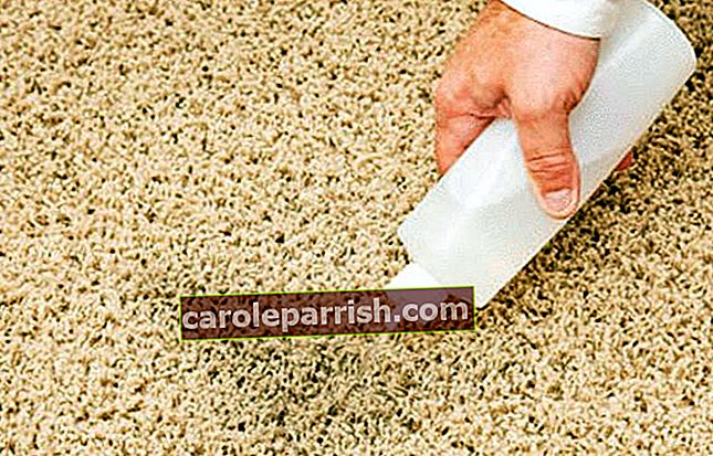 Reinigen eines Kaffeeflecks von einem Teppich oder Teppich