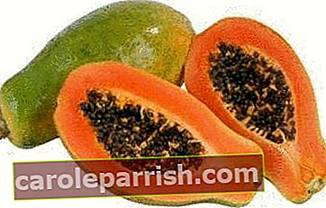 papaya och papaya frön